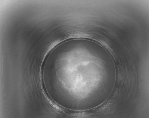 X0000060570990200511101625