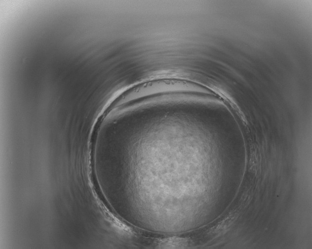 X0000060570992200511101625