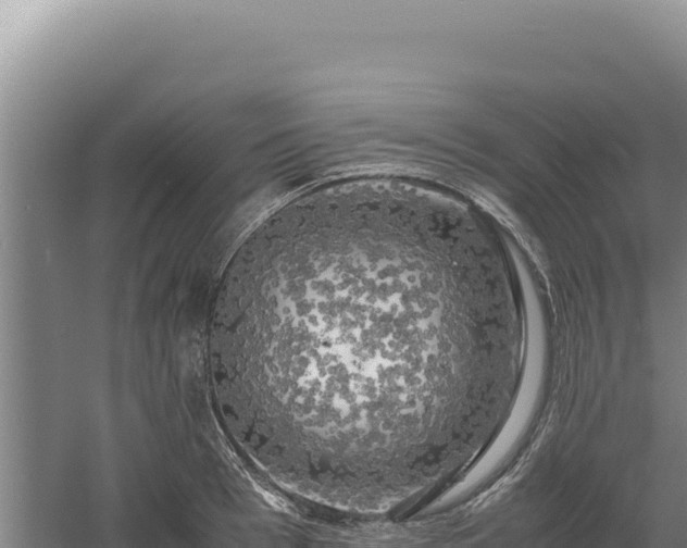 X0000060570993200511101625