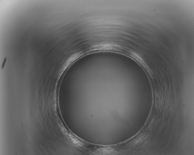 X0000060570994200511101625