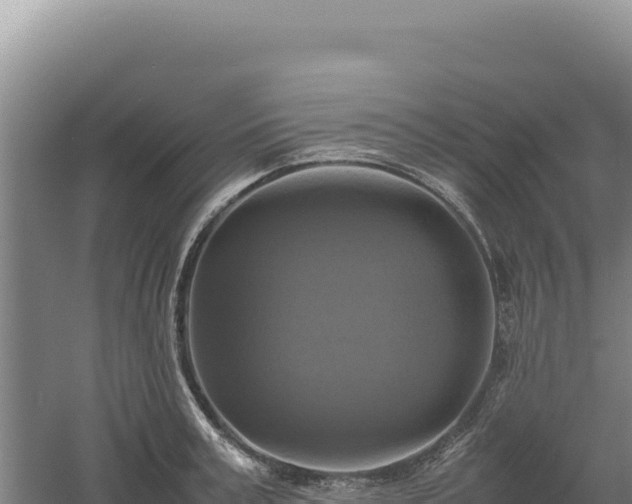 X0000060570995200511101625