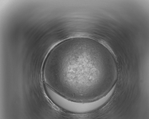 X0000060570996200511101625