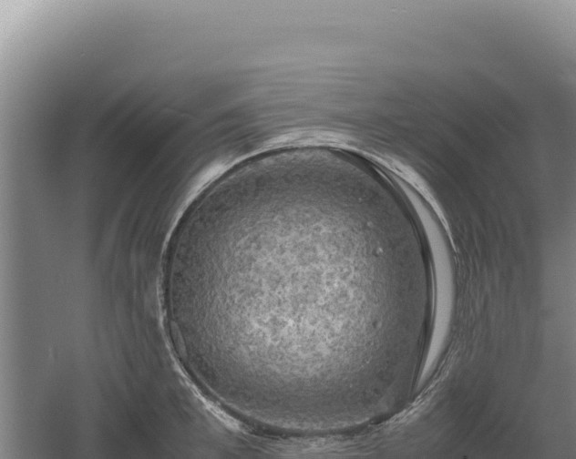 X0000060570997200511101625