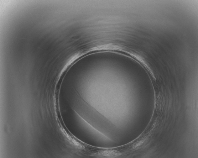 X0000060570998200511101625