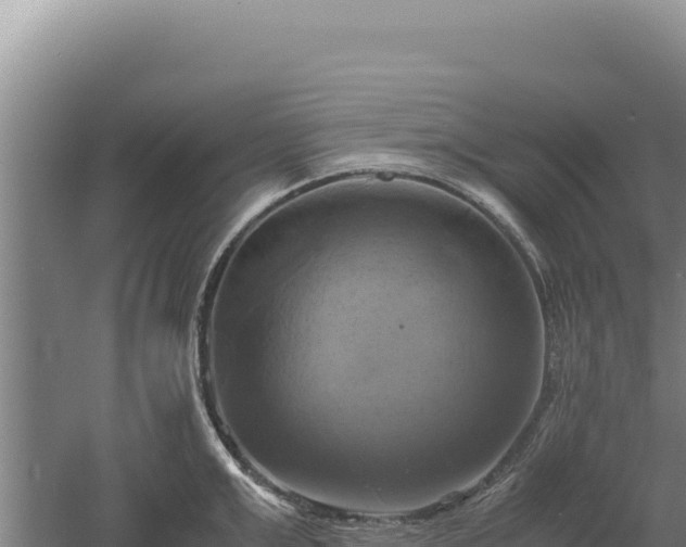 X0000060570999200511101625