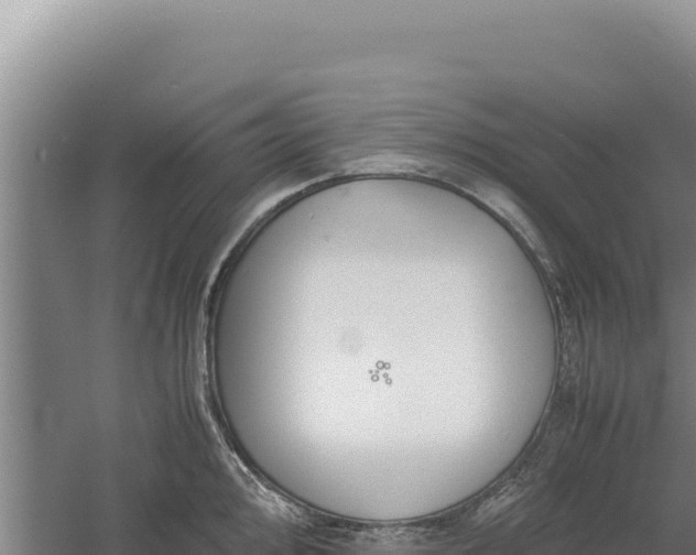 X0000060571000200511101625