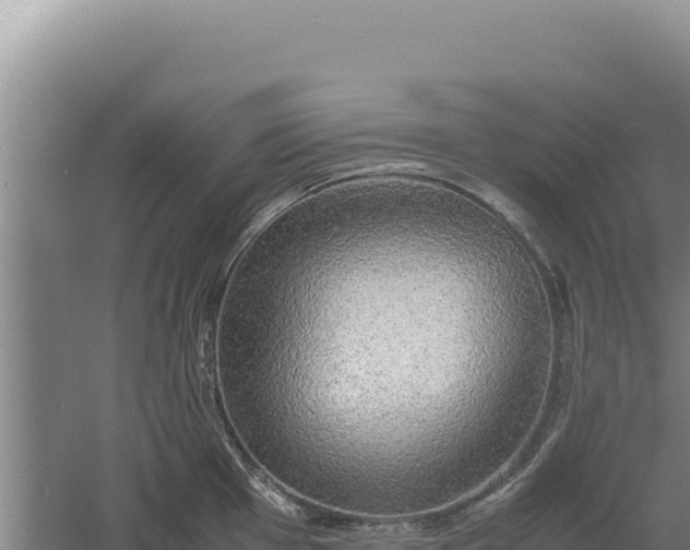 X0000060571001200511101625