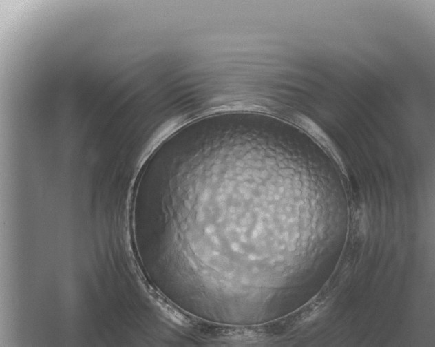 X0000060571002200511101625