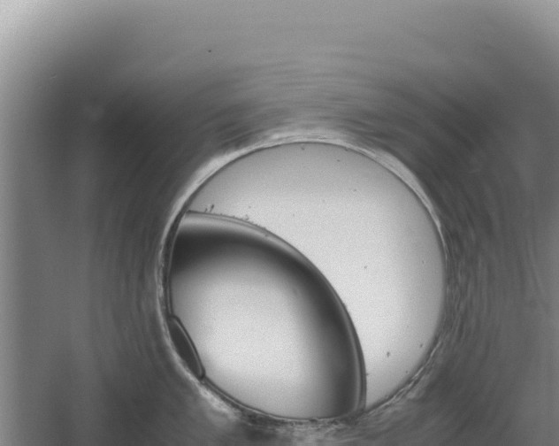 X0000060571005200511101625