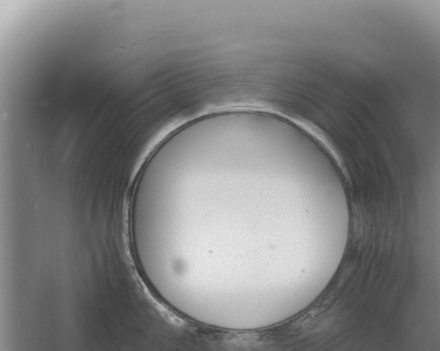 X0000060571006200511101625