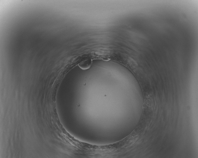 X0000060571009200511101624