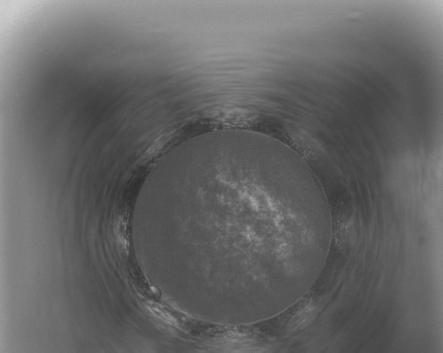 X0000060571010200511101624