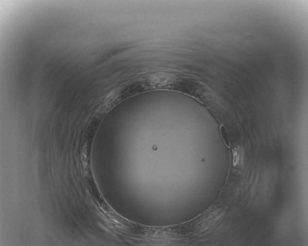 X0000060571011200511101624