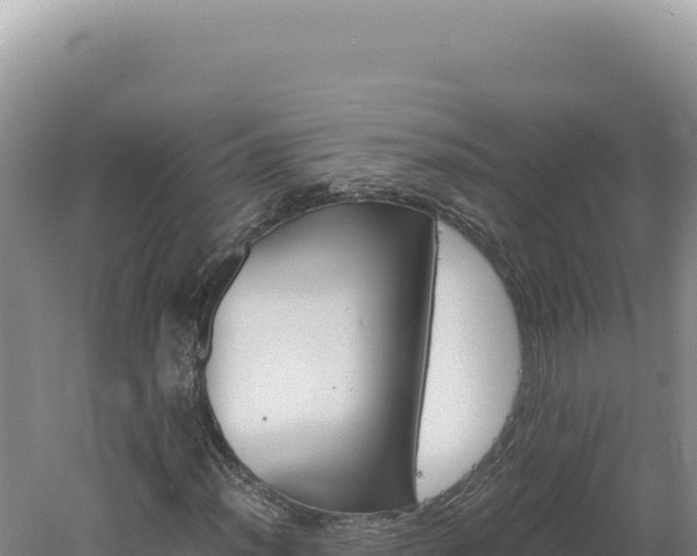 X0000060571012200511101624