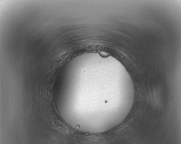 X0000060571013200511101624