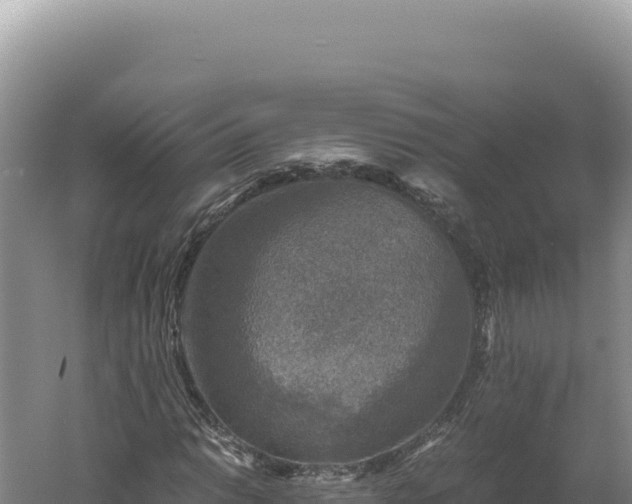 X0000060571014200511101624