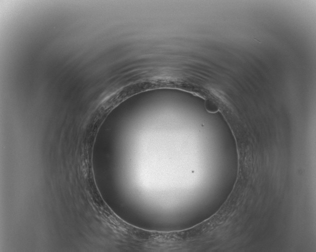 X0000060571015200511101624