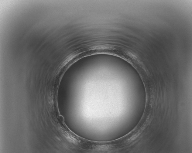 X0000060571017200511101624