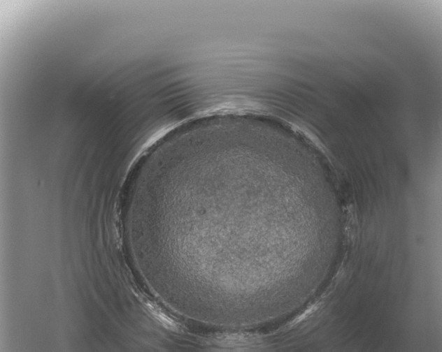 X0000060571018200511101624