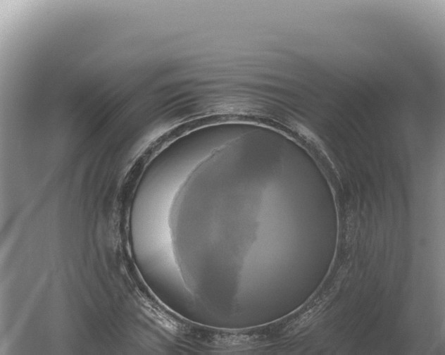 X0000060571019200511101624