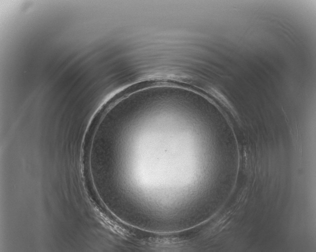 X0000060571020200511101624