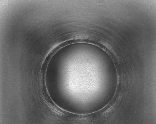 X0000060571021200511101624