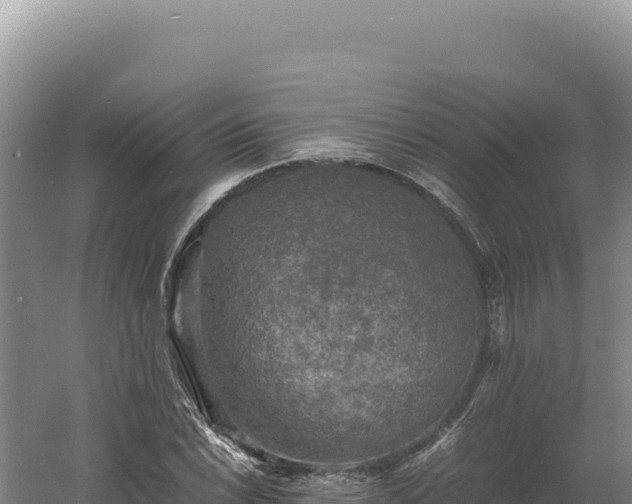 X0000060571022200511101624