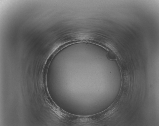 X0000060571023200511101624