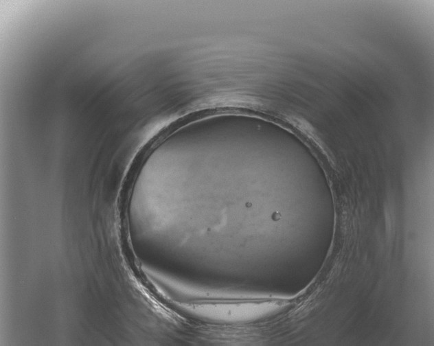 X0000060571024200511101624