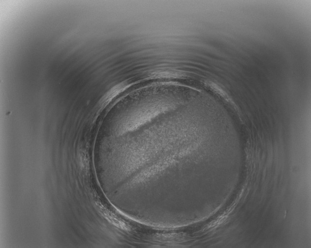 X0000060571025200511101624