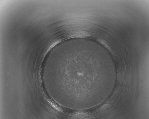 X0000060571026200511101624