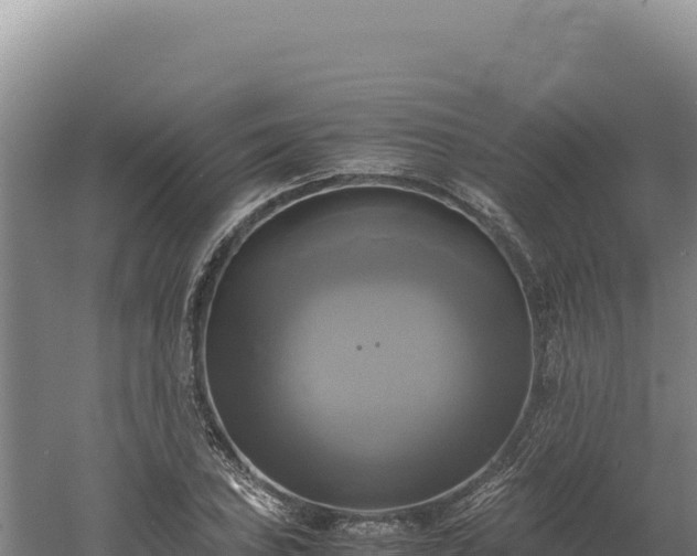 X0000060571027200511101624