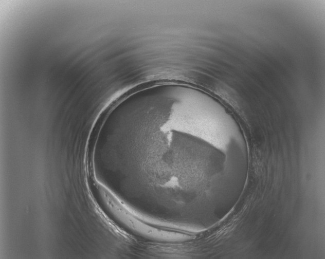 X0000060571028200511101624