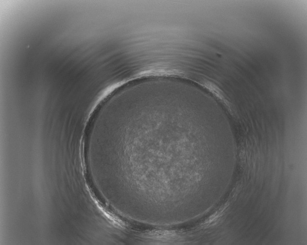 X0000060571030200511101624