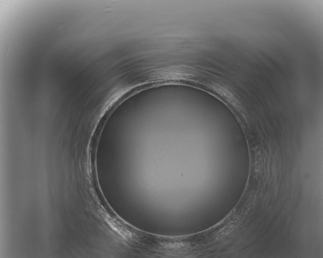 X0000060571031200511101624