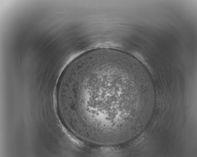 X0000060571032200511101624