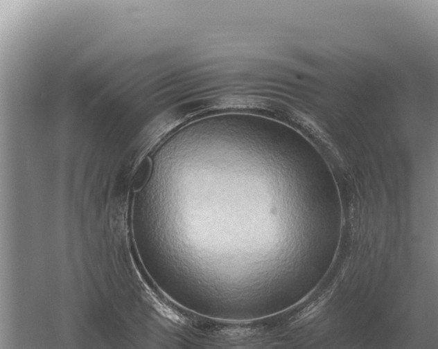 X0000060571033200511101624