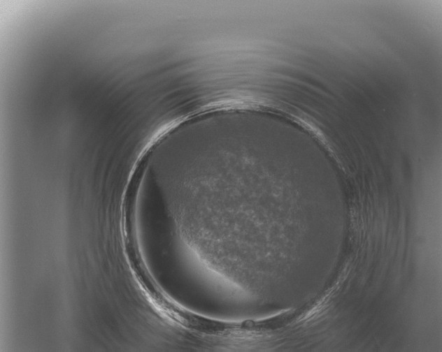 X0000060571034200511101624