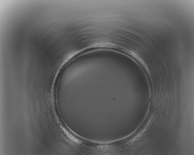 X0000060571037200511101624