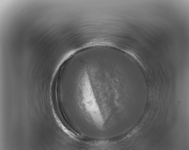 X0000060571038200511101624