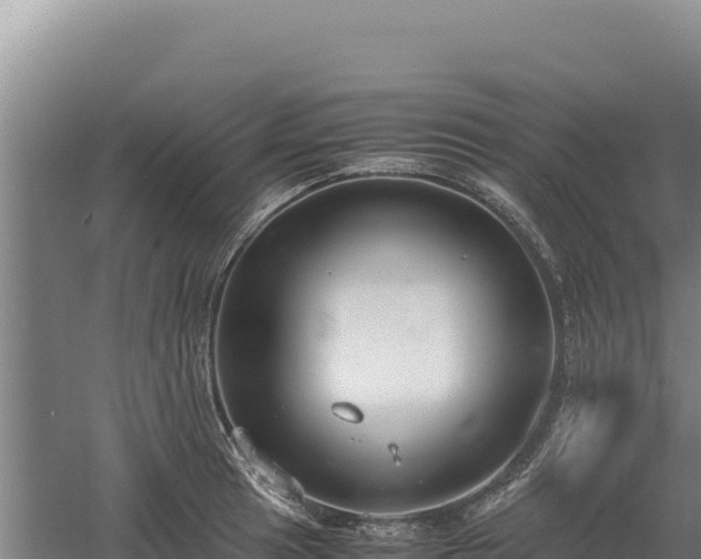 X0000060571041200511101624