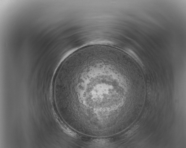 X0000060571044200511101624