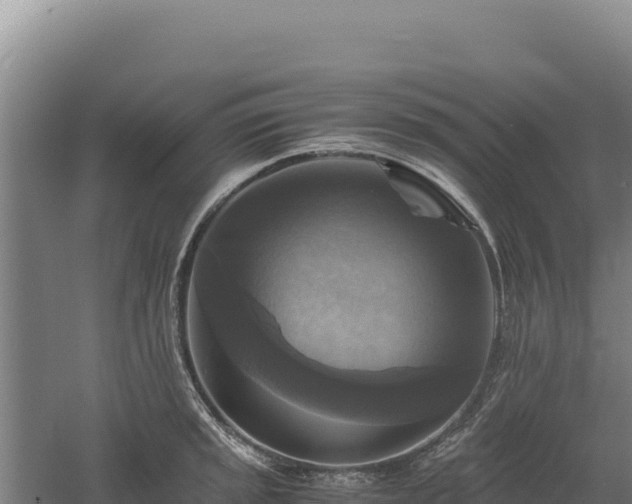 X0000060571045200511101624