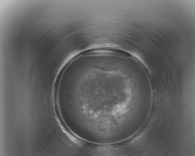 X0000060571046200511101624