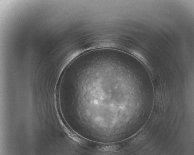 X0000060571047200511101624