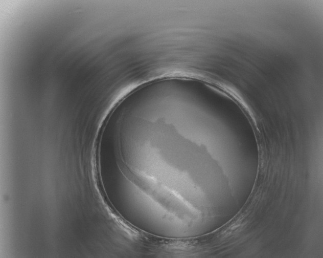 X0000060571048200511101624