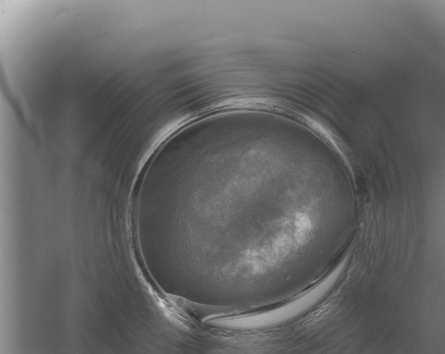 X0000060571050200511101624