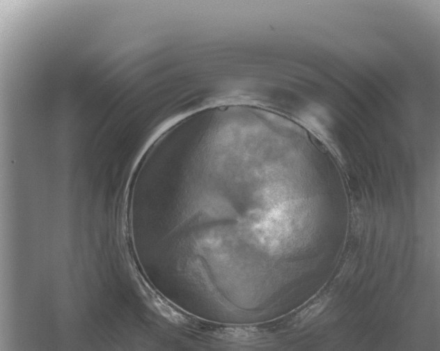 X0000060571052200511101624