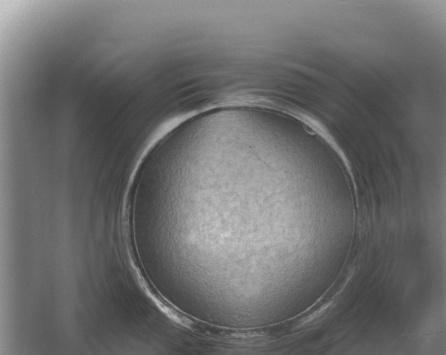 X0000060571053200511101624