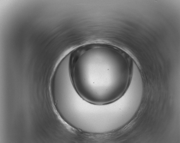 X0000060571054200511101624